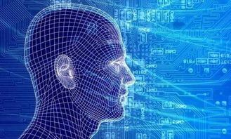 从小白到大数据人工智能专家的进阶之路 聚焦基础软件开发